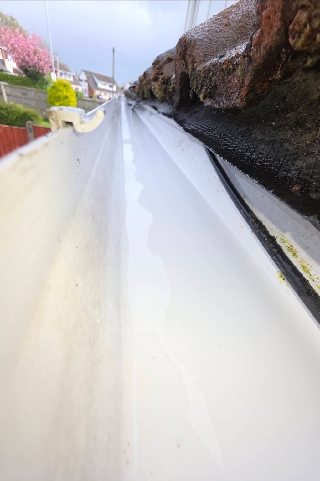 Gutter containing moss and debris before cleaning