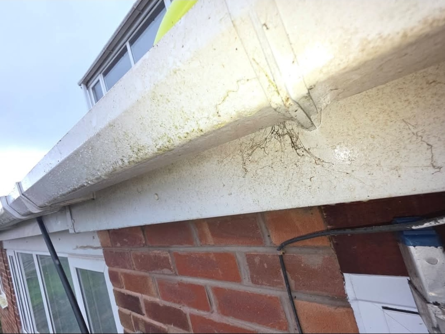 Moss and dirt around gutter