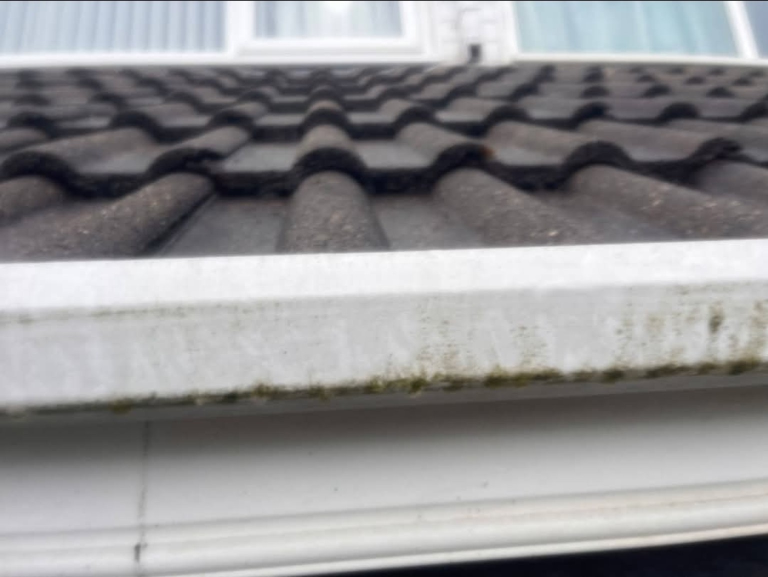 Gutter edge after cleaning